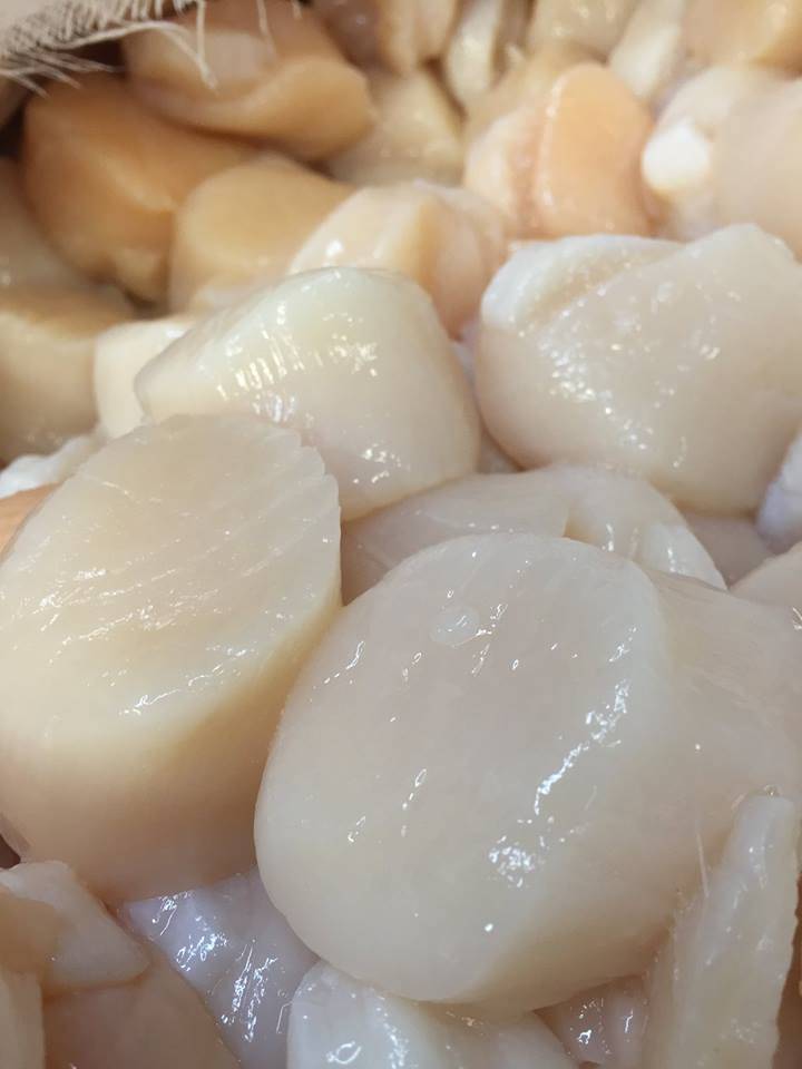 Congressional Seafood | restaurant | 7775 Chesapeake Bay Ct, Jessup, MD 20794, USA | 4107998626 OR +1 410-799-8626