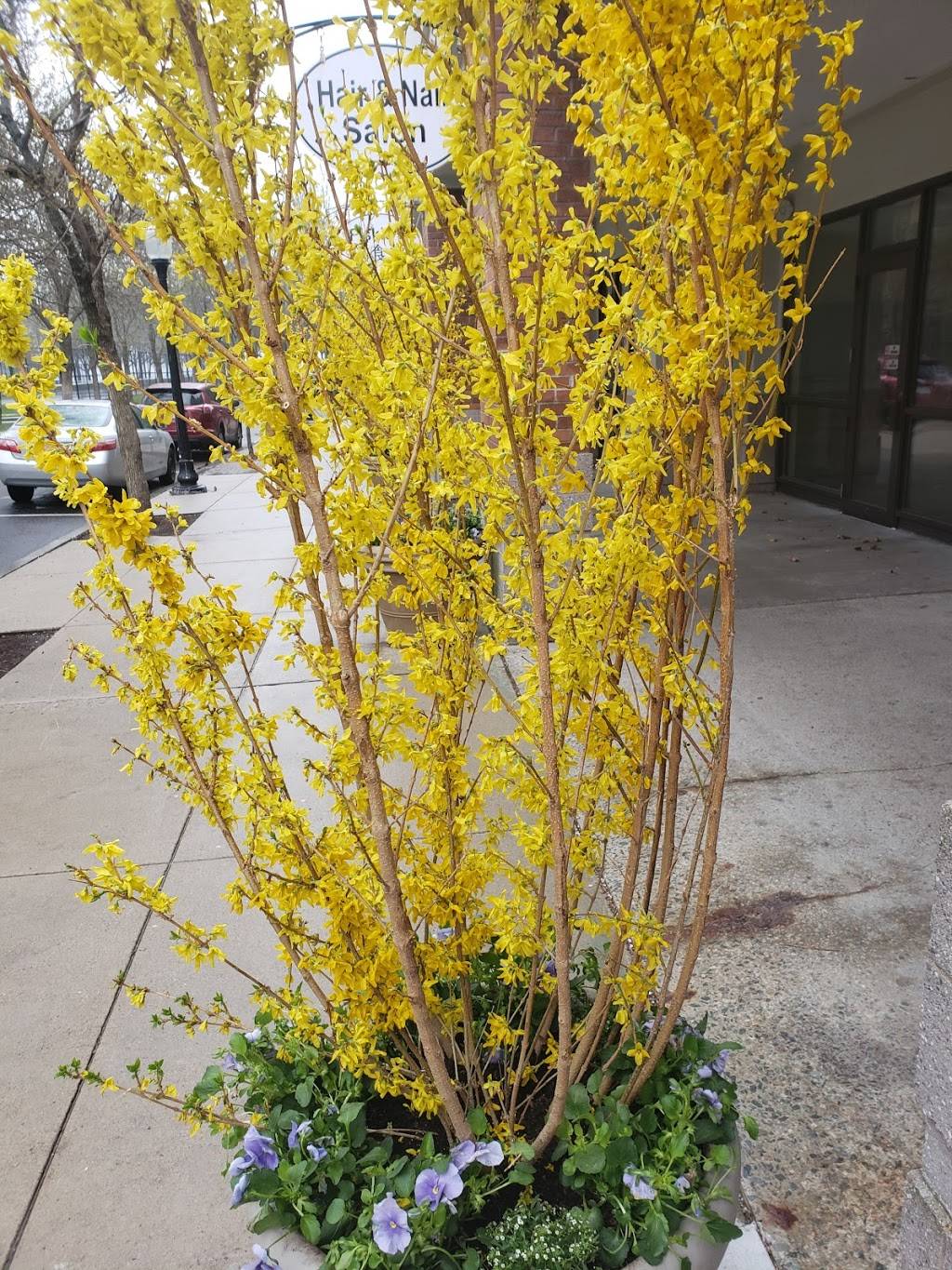 Fiskies Cafe | restaurant | 27 Harbor Point Blvd, Dorchester, MA 02125, USA | 6172828288 OR +1 617-282-8288