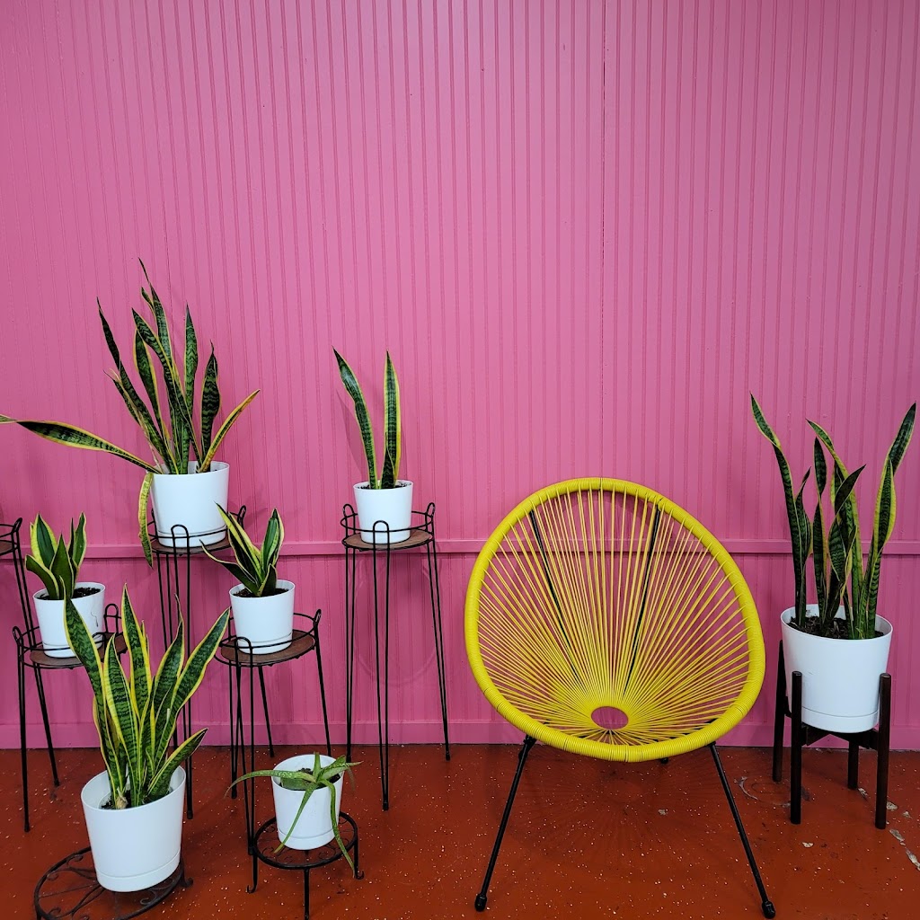 Taco Naco KC | restaurant | 8220 Metcalf Ave, Overland Park, KS 66204, USA | 9137308565 OR +1 913-730-8565