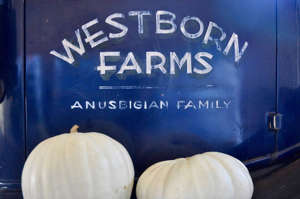 Westborn Market | bakery | 21770 Michigan Ave, Dearborn, MI 48124, USA | 3132746100 OR +1 313-274-6100