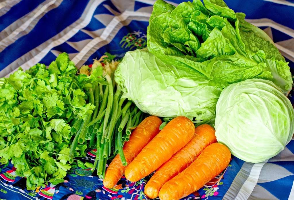 Eggrolls Inc. | restaurant | 1015 Mutual Way, Appleton, WI 54913, USA | 9207071300 OR +1 920-707-1300