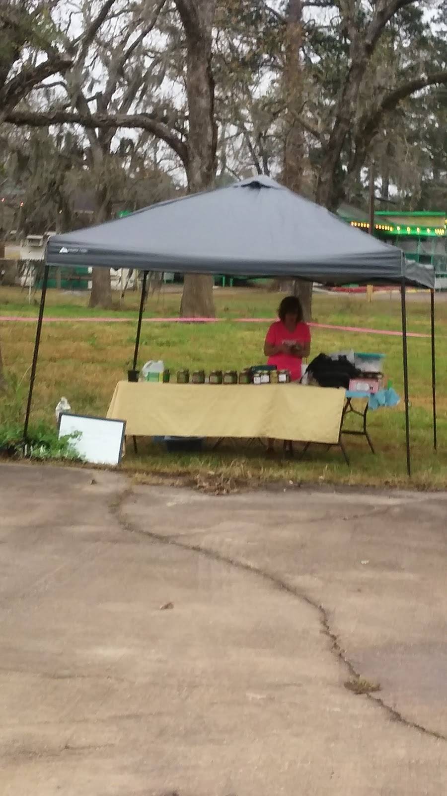 Z Z Gator Cove | restaurant | 733 Hamblen Rd, Kingwood, TX 77339, USA | 2813592200 OR +1 281-359-2200