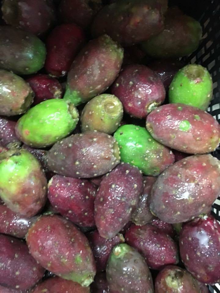 El Eden | restaurant | 1314 Madison St, Shelbyville, TN 37160, USA | 9317350847 OR +1 931-735-0847