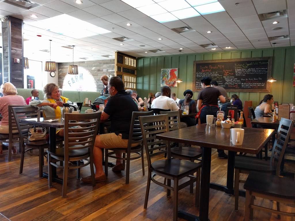 First Watch - Mayfield Heights | restaurant | 1431 Som Center Rd, Mayfield Heights, OH 44124, USA | 4406841825 OR +1 440-684-1825