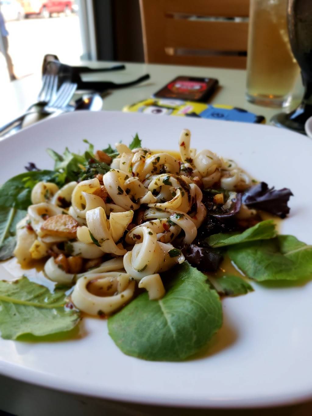 Sage Mediterranean Cuisine | restaurant | 150 Bridge St, Phoenixville, PA 19460, USA | 4849274168 OR +1 484-927-4168