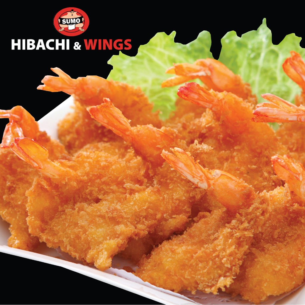 Sumo Hibachi and Wings | restaurant | 3265 Sardis Church Rd Suite 103, Buford, GA 30519, USA | 6789263662 OR +1 678-926-3662