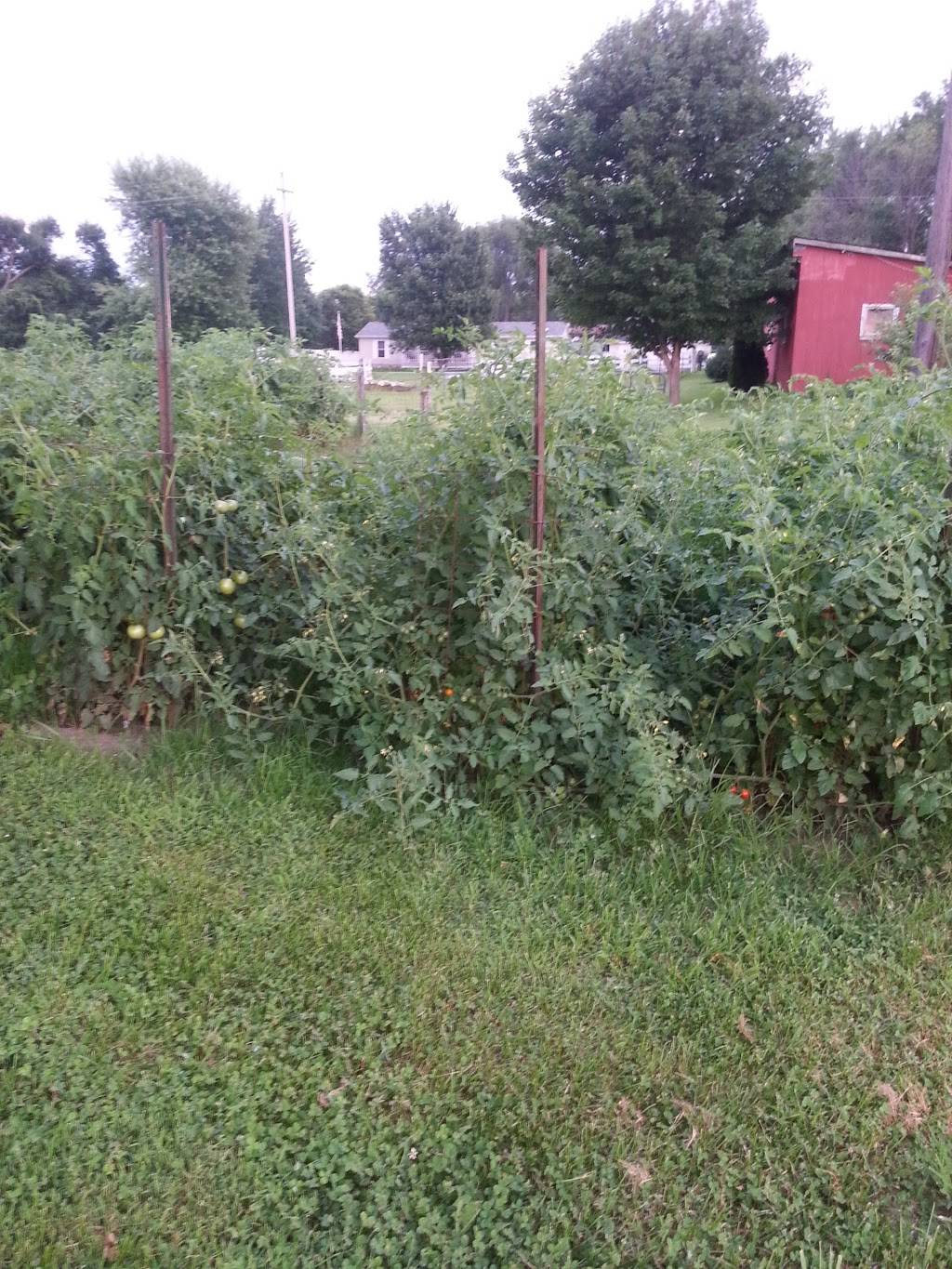 Iron Kettle | restaurant | 103 S Meridian St, Sulphur Springs, IN 47388, USA | 7655334744 OR +1 765-533-4744