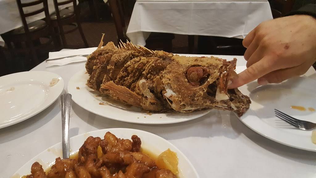 Hong Kong Restaurant | restaurant | 4100 Dyer St, Union City, CA 94587, USA | 5104871033 OR +1 510-487-1033