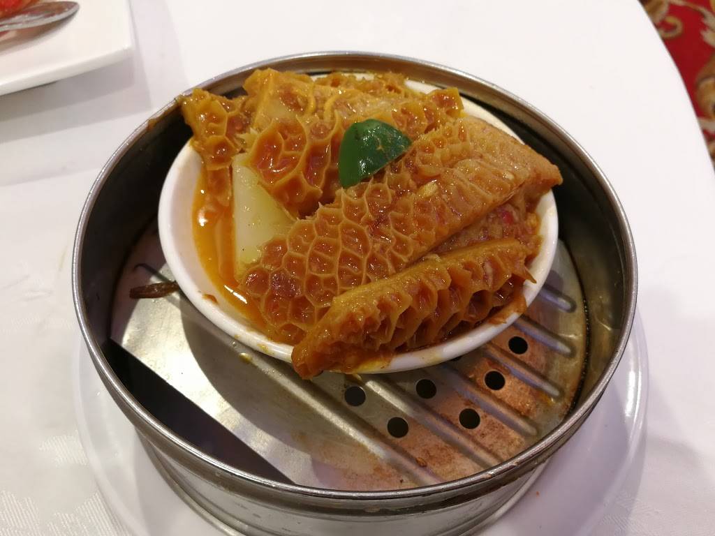 World Seafood Restaurant | restaurant | 1412 S Garfield Ave, Alhambra, CA 91801, USA | 6262823888 OR +1 626-282-3888