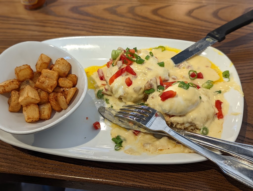 Another Broken Egg Cafe | restaurant | 5527 S Williamson Blvd, Port Orange, FL 32128, USA | 3863207266 OR +1 386-320-7266