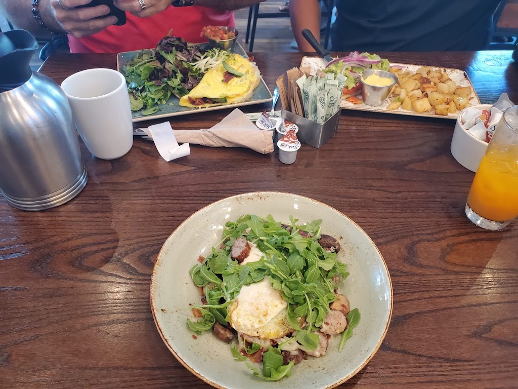 First Watch | restaurant | 180 S Compass Wy, Dania Beach, FL 33004, USA | 9546458090 OR +1 954-645-8090