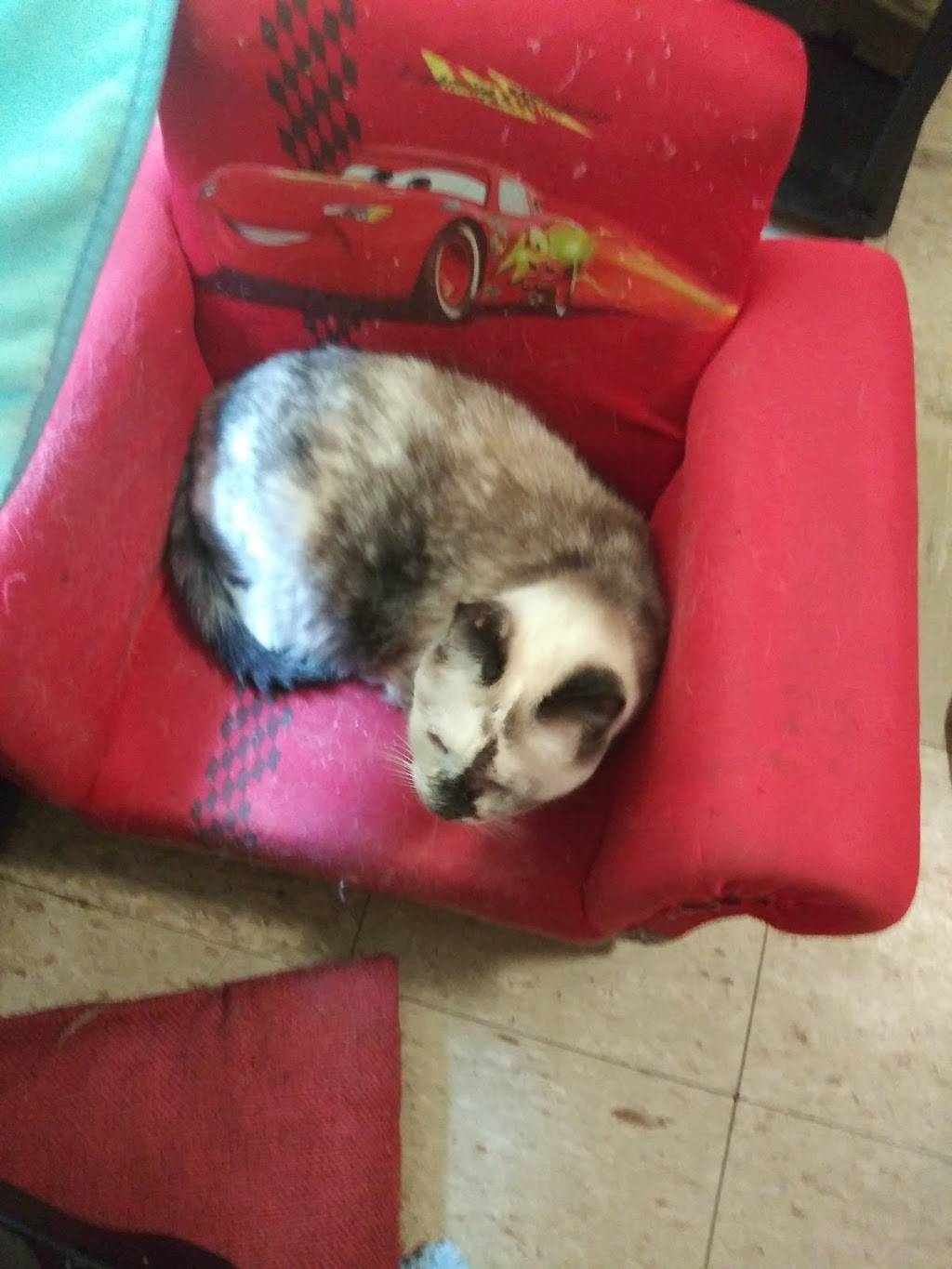 Subway | restaurant | 2511 Okeechobee Rd, Fort Pierce, FL 34947, USA | 7724614248 OR +1 772-461-4248