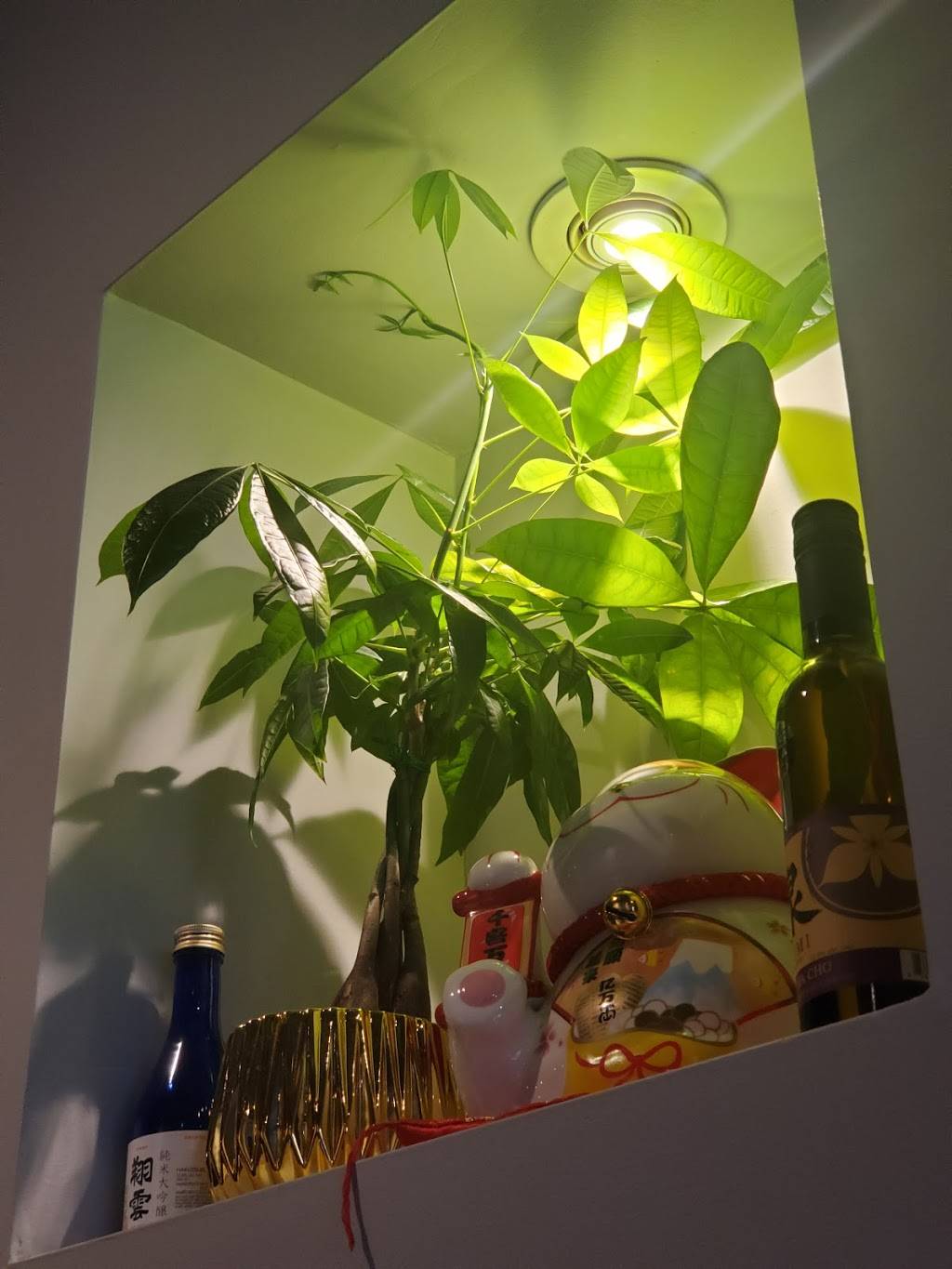 Sushi Avenue | restaurant | 150 Avenue Rd, Toronto, ON M5R 2H8, Canada | 4169721888 OR +1 416-972-1888