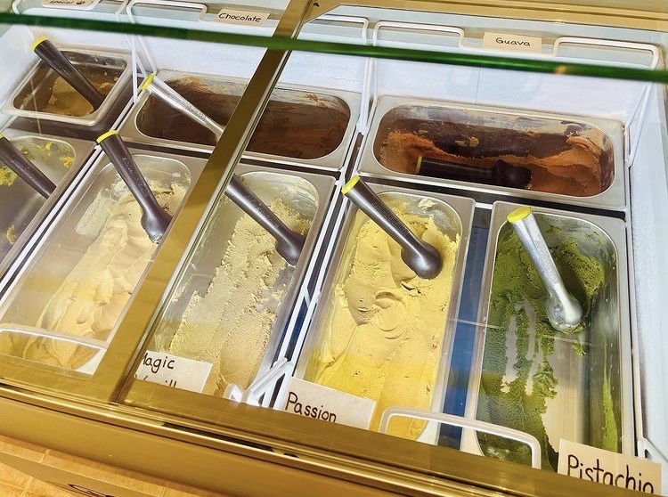 Coco NIce | restaurant | 3407 S MacDill Ave, Tampa, FL 33629, USA | 8134172644 OR +1 813-417-2644