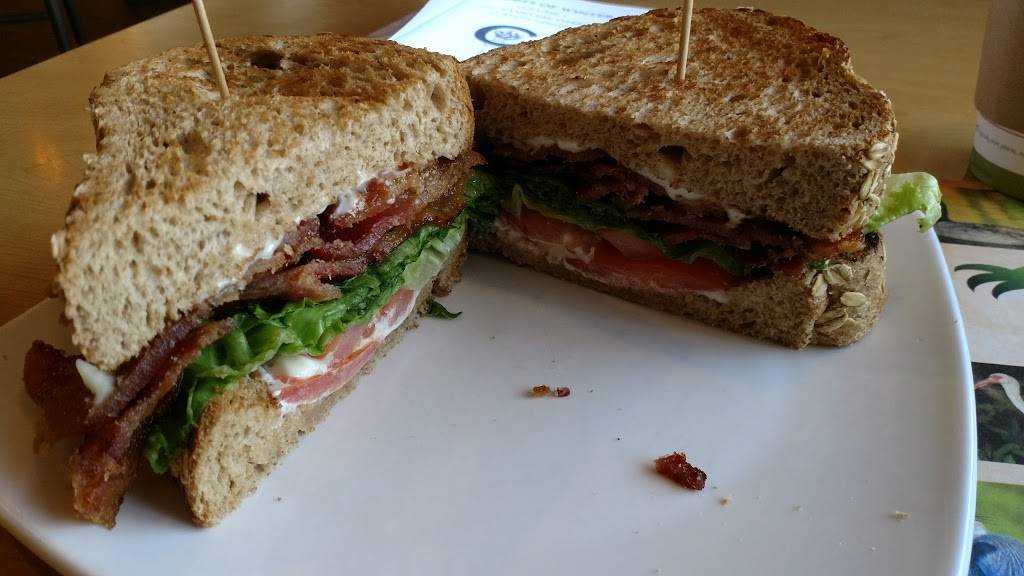 JayBirds Restaurant | restaurant | 2600 N Ponce De Leon Blvd, St. Augustine, FL 32084, USA | 9044297153 OR +1 904-429-7153