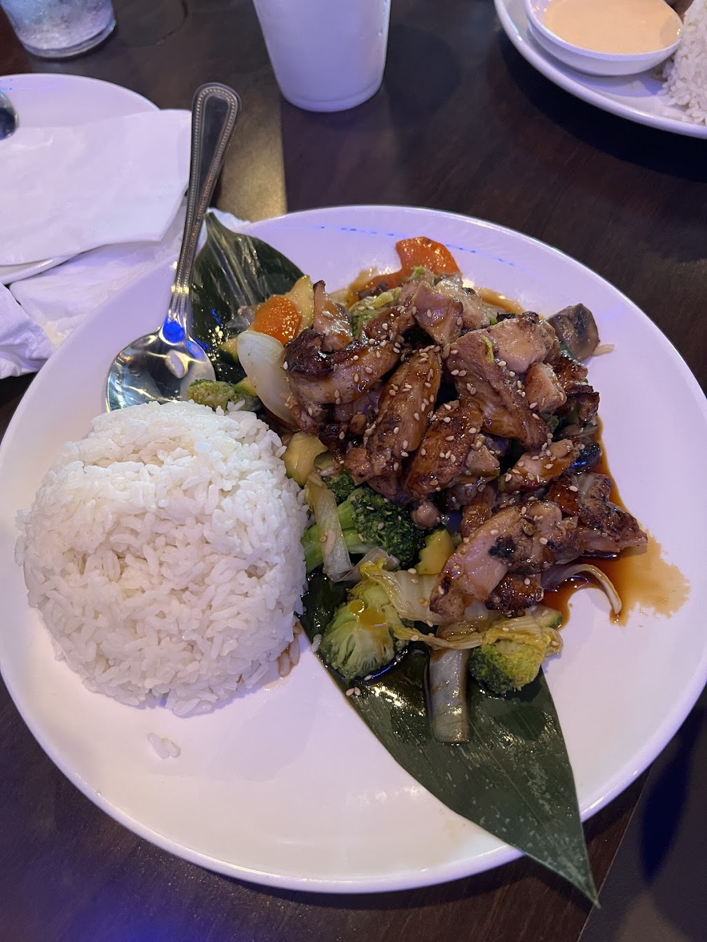 Asiatic Thai-Sushi Northdale | restaurant | 3825 Northdale Blvd, Tampa, FL 33624, USA | 8133747148 OR +1 813-374-7148