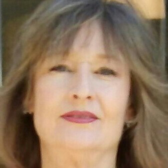 Designer Dogs Shoppe | restaurant | 6630 Brentwood Blvd, Brentwood, CA 94513, USA | 9255169906 OR +1 925-516-9906