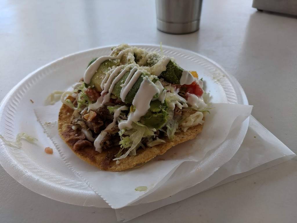 Tacos Gone Mobile | restaurant | 1309 E Fletcher Ave, Tampa, FL 33612, USA | 8134009439 OR +1 813-400-9439