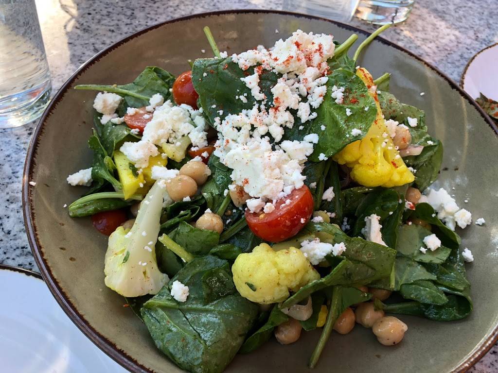 Terra & Vine | restaurant | 1701 Maple Ave, Evanston, IL 60201, USA | 8475634333 OR +1 847-563-4333