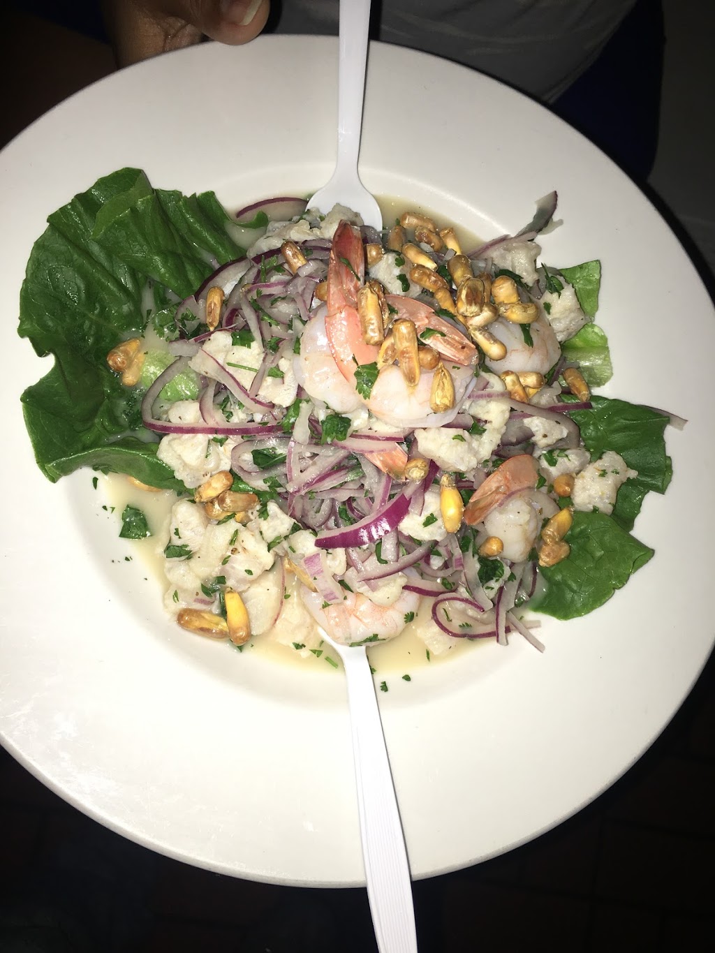 Tikal Restaurant | restaurant | 421 NW 36th St, Miami, FL 33127, USA | 3055763756 OR +1 305-576-3756