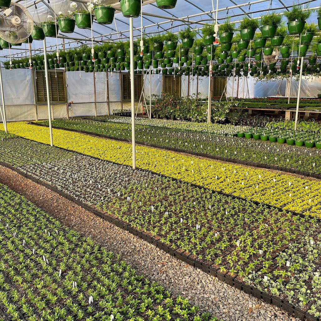 Farm 441 @ Thomas Orchards | restaurant | 6091 Macon Hwy, Bishop, GA 30621, USA | 7067695011 OR +1 706-769-5011