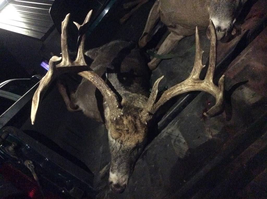 Mt. Zion Pub | restaurant | 43499 County Rd W, Boscobel, WI 53805, USA | 6088722321 OR +1 608-872-2321