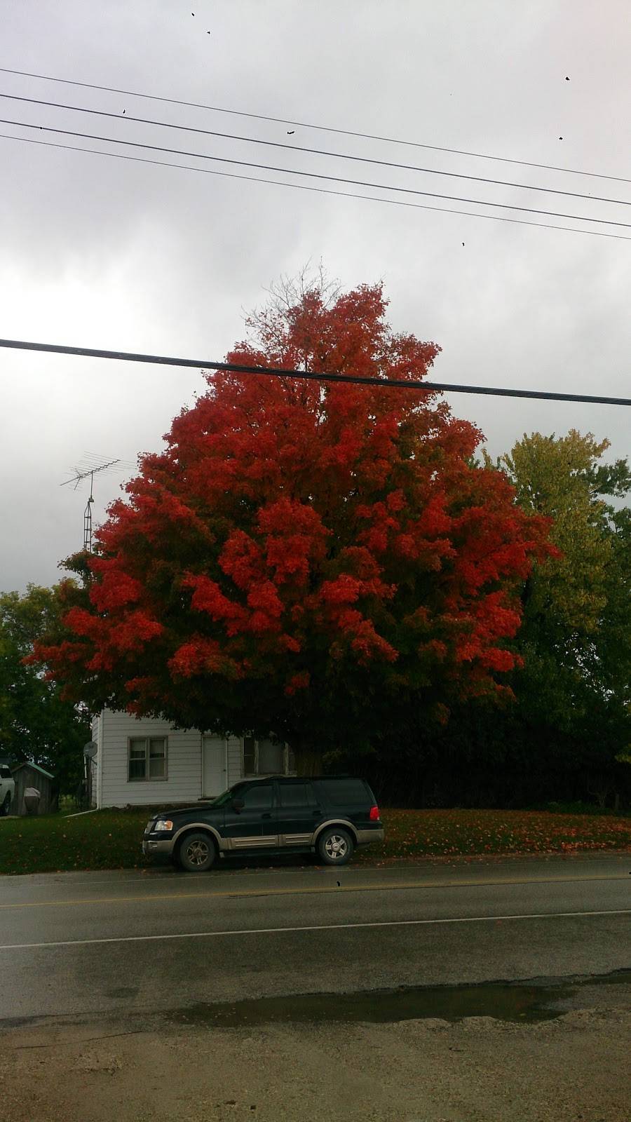 Gilberts Country Cafe | cafe | 407624 Grey County Rd 4, Maxwell, ON N0C 1J0, Canada | 5199221007 OR +1 519-922-1007