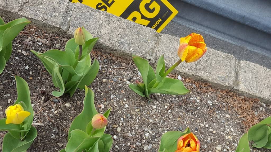 J & R Pizza II | restaurant | 133 McClean Ave, Staten Island, NY 10305, USA | 7187272222 OR +1 718-727-2222