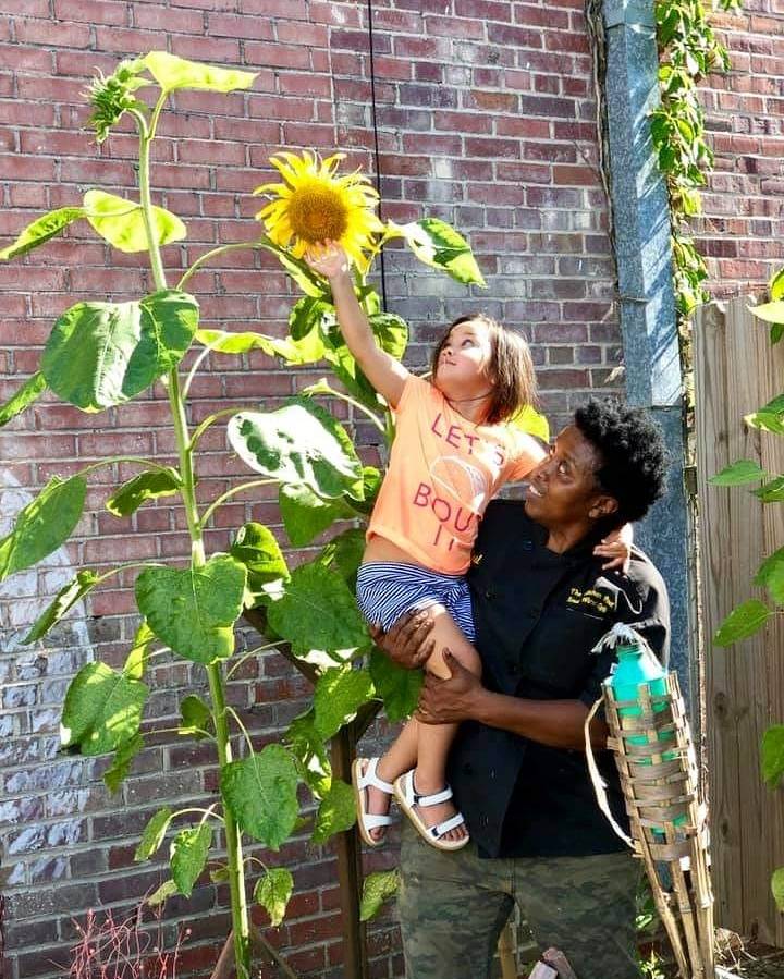 Soul Wired Cafe | cafe | 4147 Northview Plaza Dr, Jackson, MS 39206, USA | 6017900864 OR +1 601-790-0864