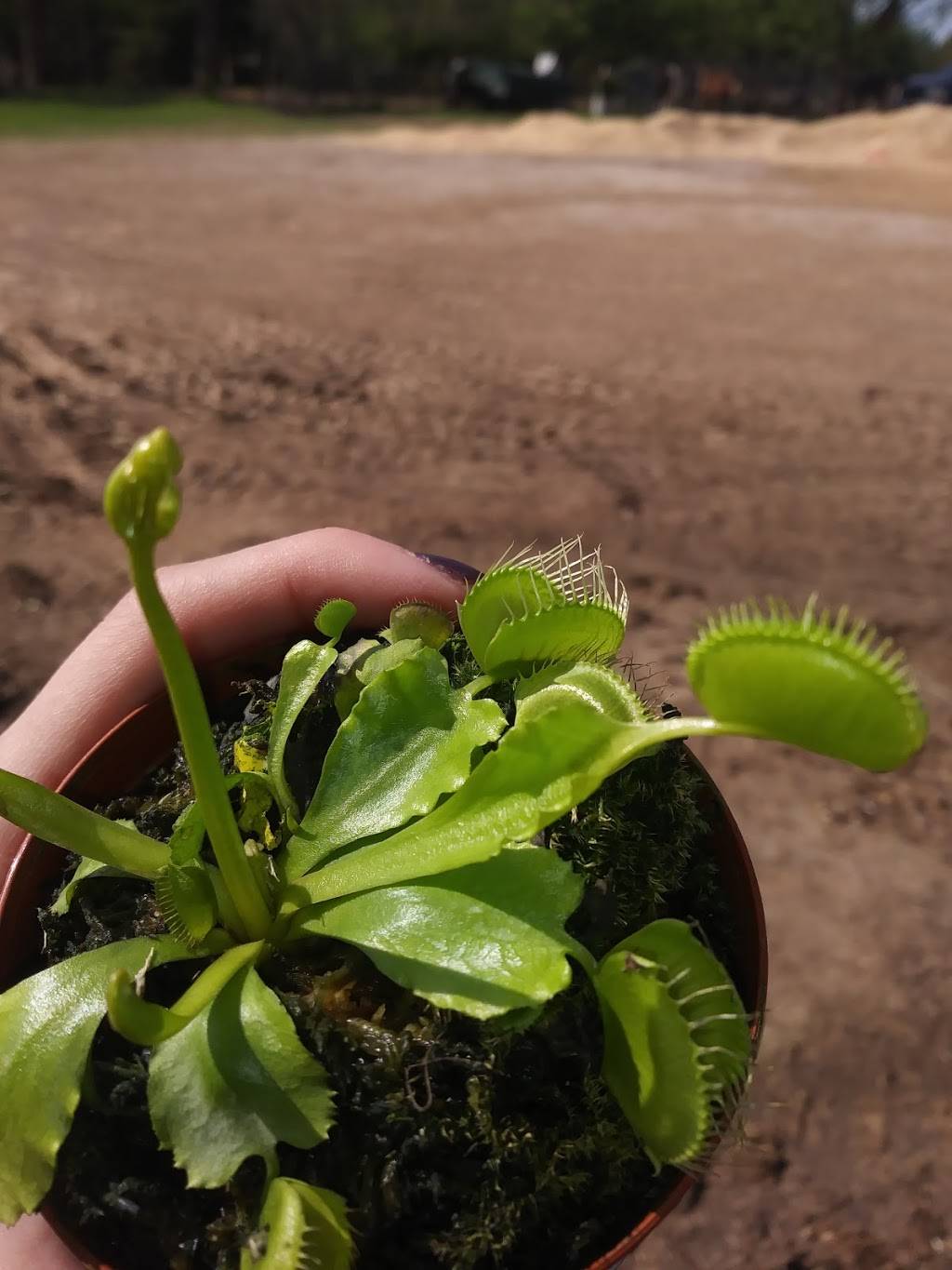 Joes Pizza & Pasta | restaurant | 8901 Jacksboro Hwy, Lakeside, TX 76135, USA | 8172380084 OR +1 817-238-0084