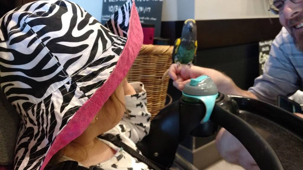 Starbucks | cafe | 1206 28th St, San Diego, CA 92102, USA | 6192317637 OR +1 619-231-7637