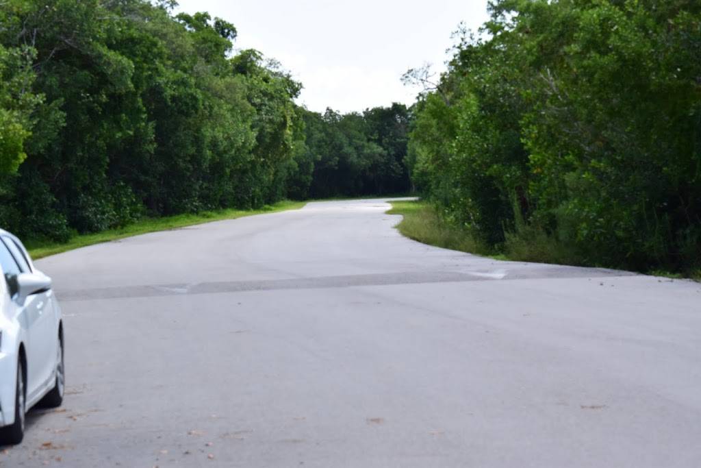 Subway | restaurant | 2496 Palm Ridge Rd, Sanibel, FL 33957, USA | 2394721255 OR +1 239-472-1255