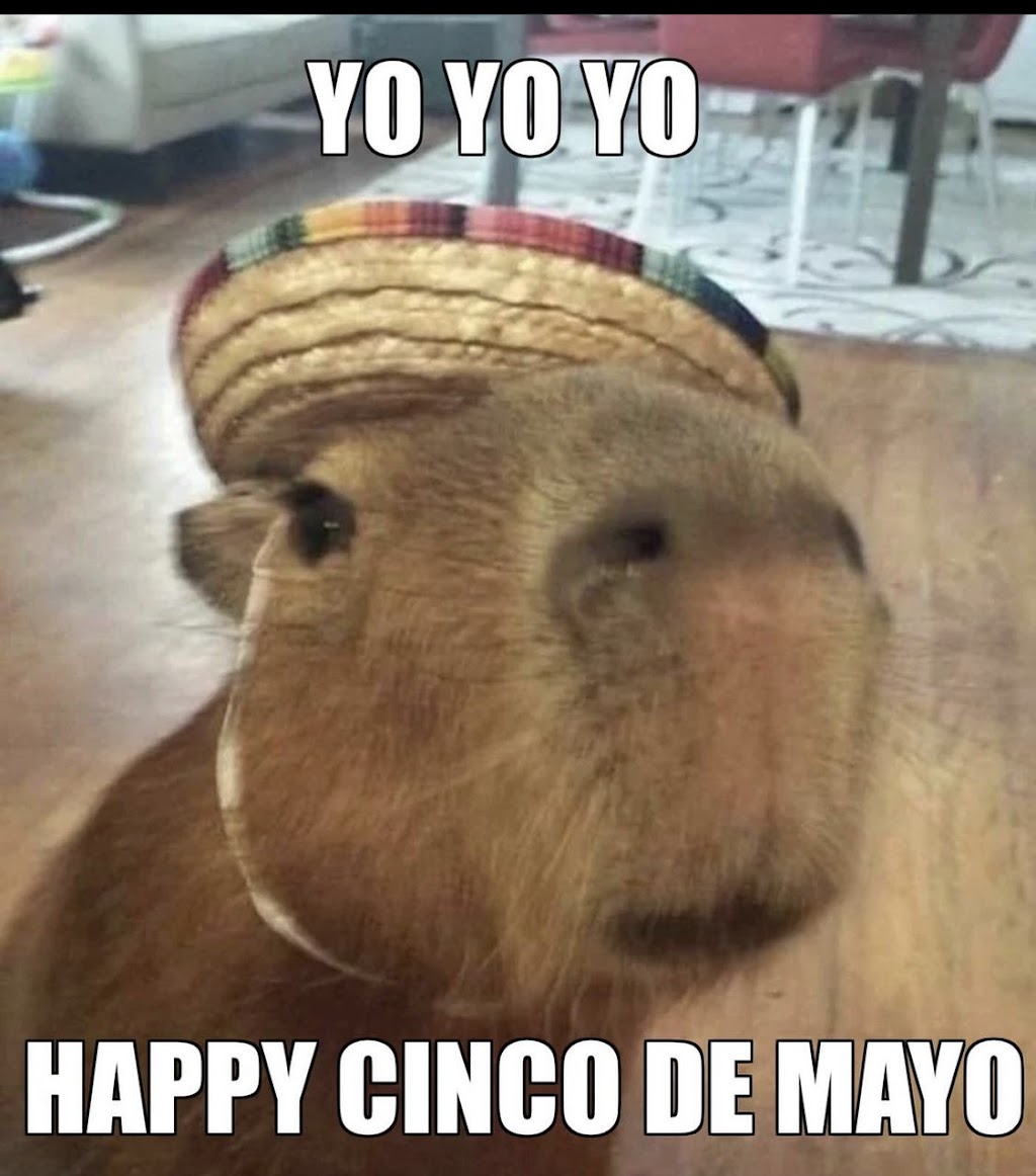 Lloyd Cashh Shopping Italian Restaraunt | restaurant | 412 E 4th Ave, Belton, TX 76513, USA | 3162285324 OR +1 316-228-5324