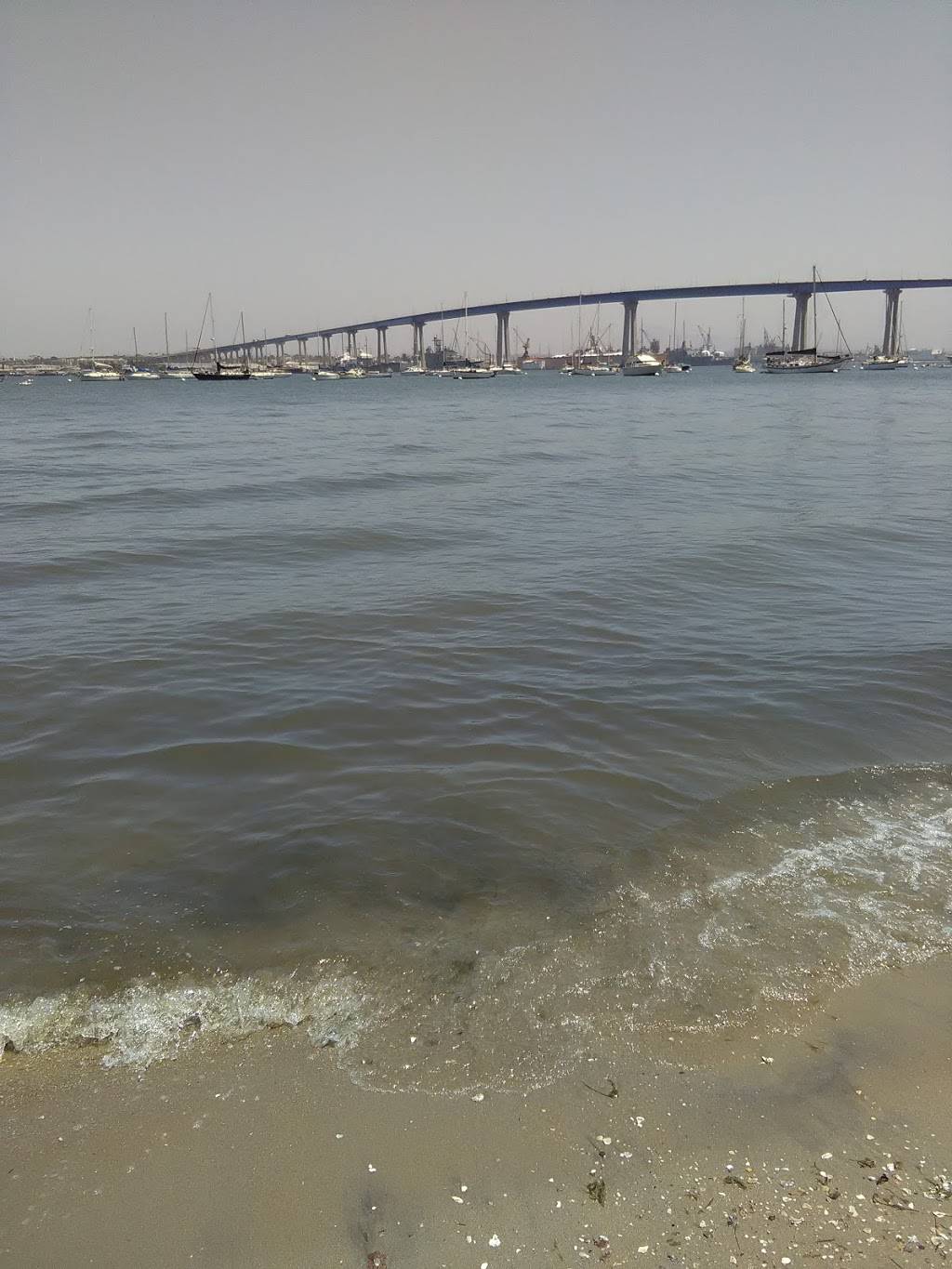 La Jolla Shrk | restaurant | 1900 Kearney Ave, San Diego, CA 92113, USA | 6195872527 OR +1 619-587-2527