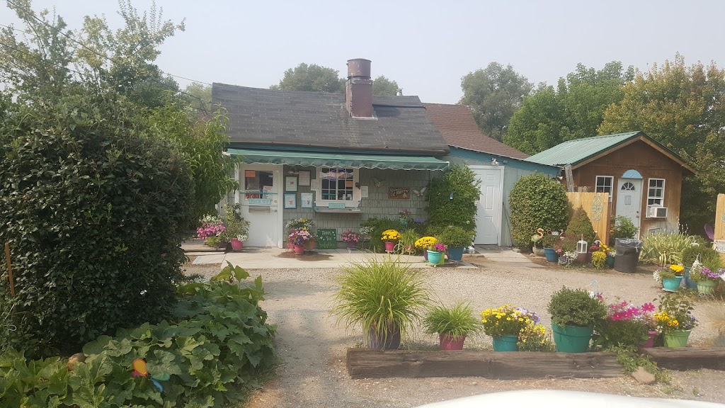 Grandmas Frosty | restaurant | 319 Main St, Loyalton, CA 96118, USA | 5309931192 OR +1 530-993-1192