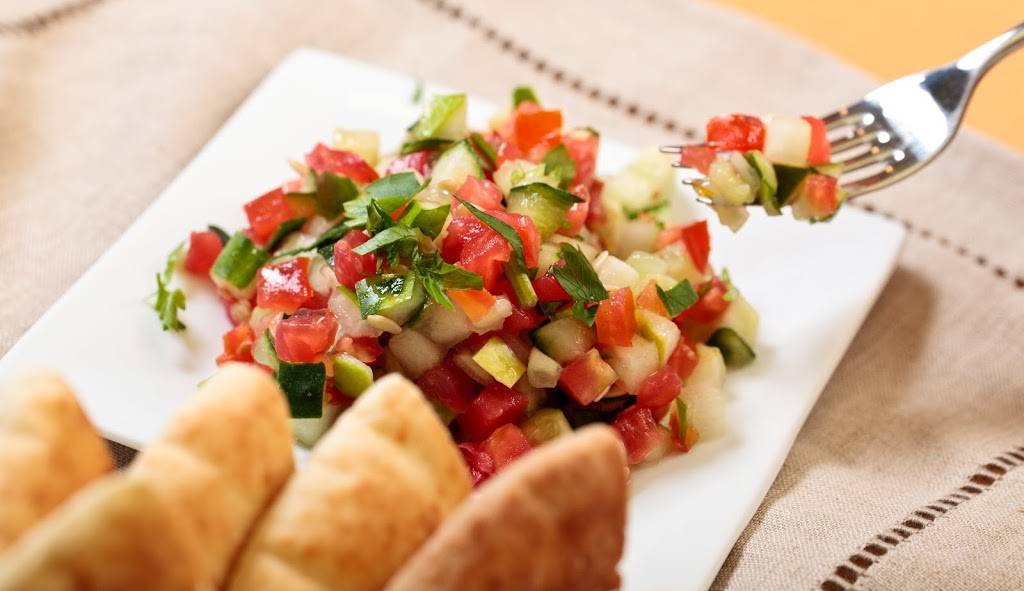 Hummus Grill | restaurant | 3931 Walnut St, Philadelphia, PA 19104, USA | 2152225300 OR +1 215-222-5300