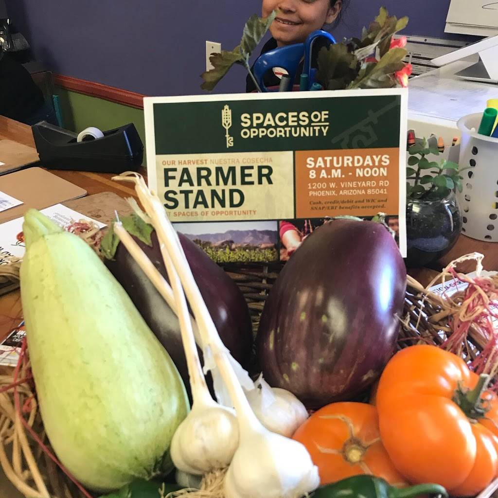 Healthy Roots Cafe | restaurant | 909 W Vineyard Rd A, Phoenix, AZ 85041, USA | 6029890590 OR +1 602-989-0590