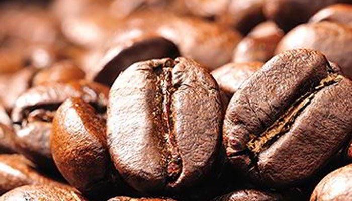 McDonalds | cafe | 4782 Bank St, Gloucester, ON K1T 3W7, Canada | 6138226522 OR +1 613-822-6522