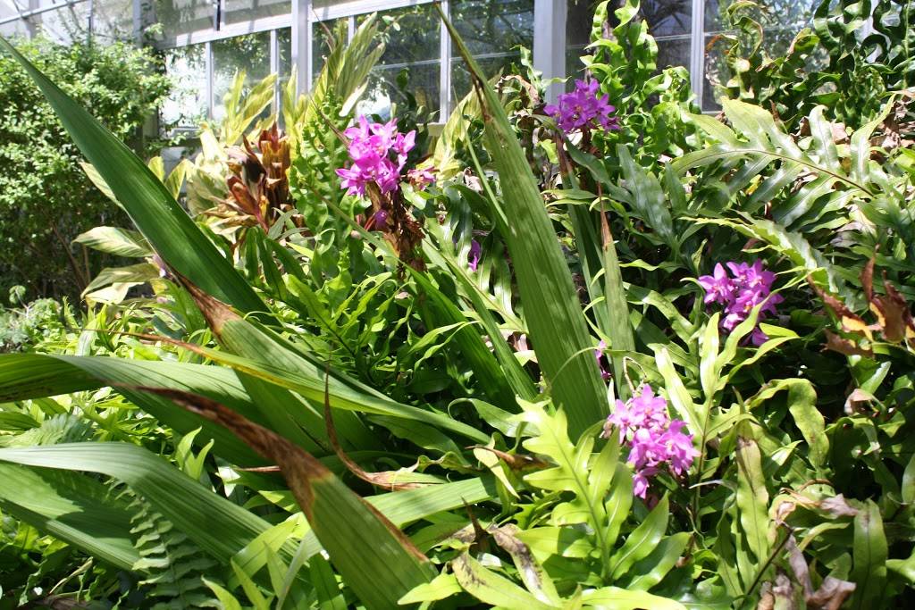 The Shops at The Butterfly Estates and Florida Native Butterfly  | restaurant | 1815 Fowler St, Fort Myers, FL 33901, USA | 2396902359 OR +1 239-690-2359