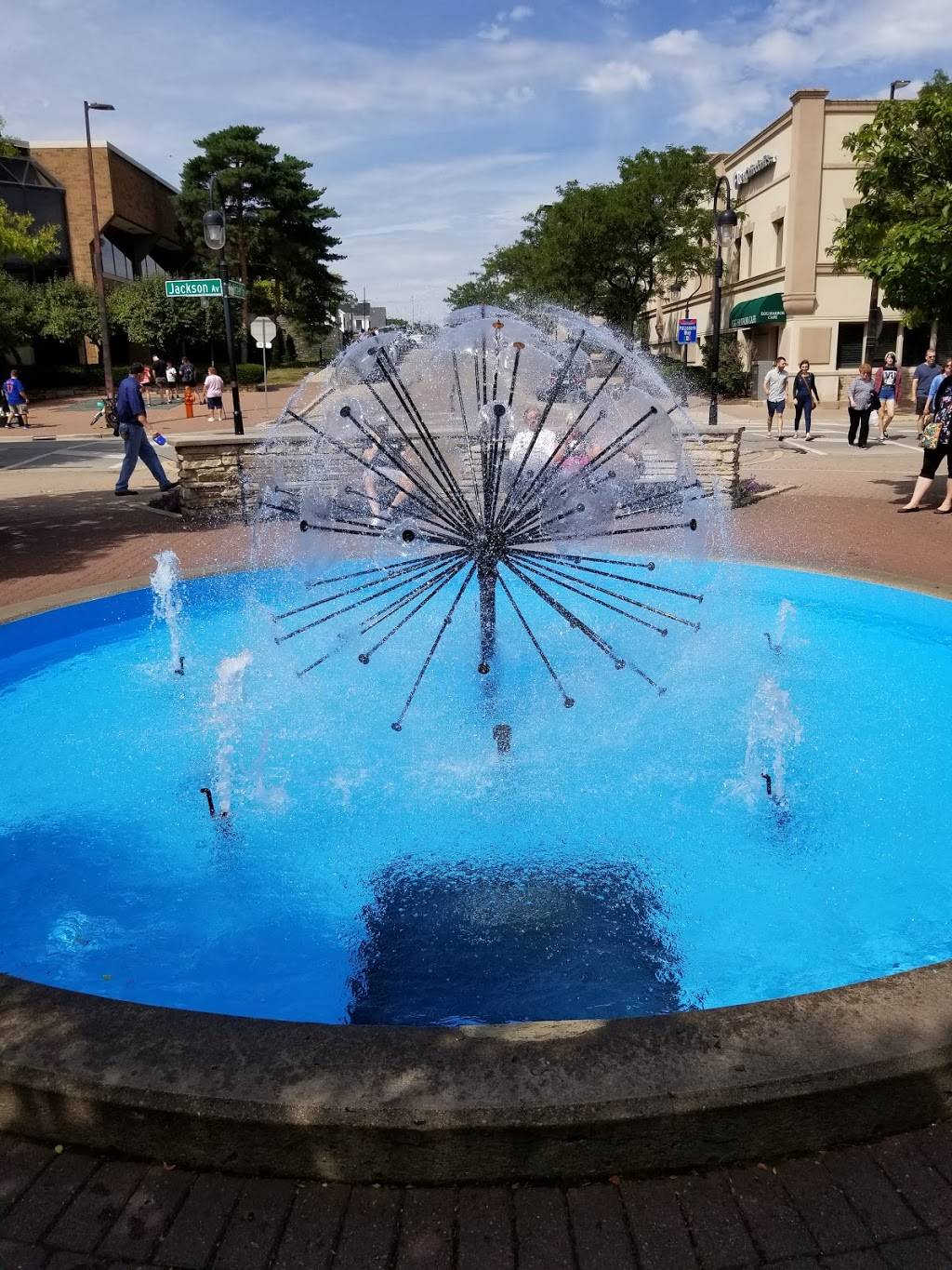 Downtown Naperville | shopping mall | 55 S Main St #351, Naperville, IL 60540, USA | 6305443367 OR +1 630-544-3367