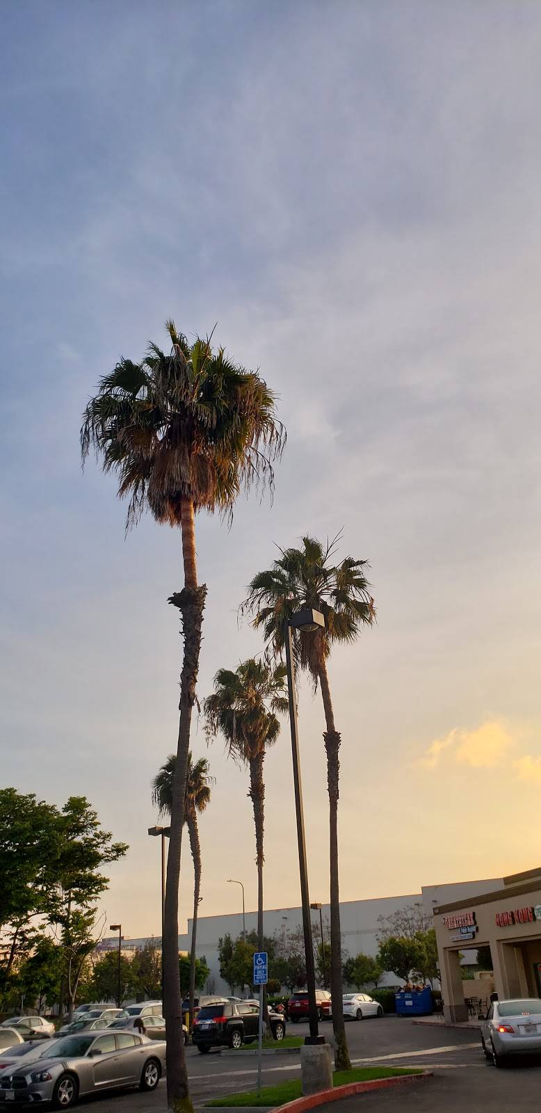 Starbucks | cafe | 1450 190th St Suite F, Torrance, CA 90501, USA | 3106188339 OR +1 310-618-8339