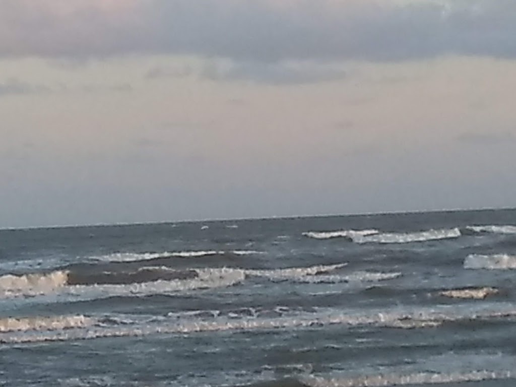 Woodys Bar | restaurant | 11149 Termini-San Luis Pass Rd, Galveston, TX 77554, USA | 4097406969 OR +1 409-740-6969