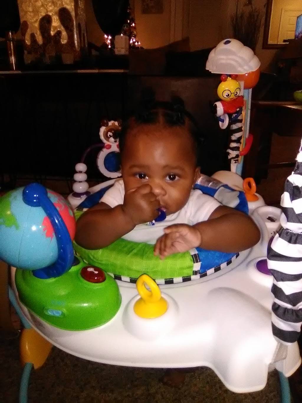 Caribou Coffee | cafe | 314 N Ironwood Dr, Mishawaka, IN 46544, USA | 5742596348 OR +1 574-259-6348