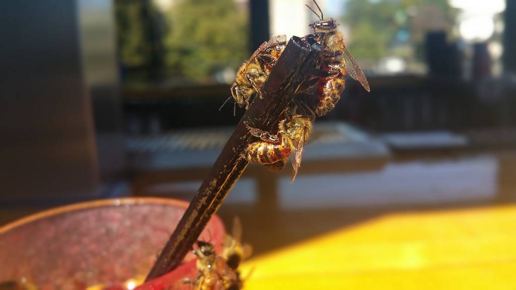 The Pioneer Bar | restaurant | 2401 S University Blvd, Denver, CO 80210, USA | 7205364802 OR +1 720-536-4802