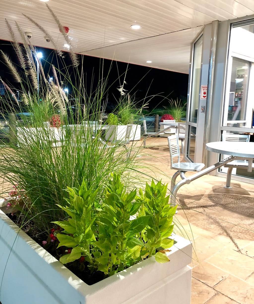 Wawa | cafe | 8458 N Dale Mabry Hwy, Tampa, FL 33614, USA | 8138201228 OR +1 813-820-1228