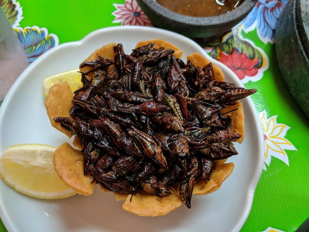 Sabores Oaxaquenos | restaurant | 3337 1/2 W 8th St, Los Angeles, CA 90005, USA | 2134105133 OR +1 213-410-5133