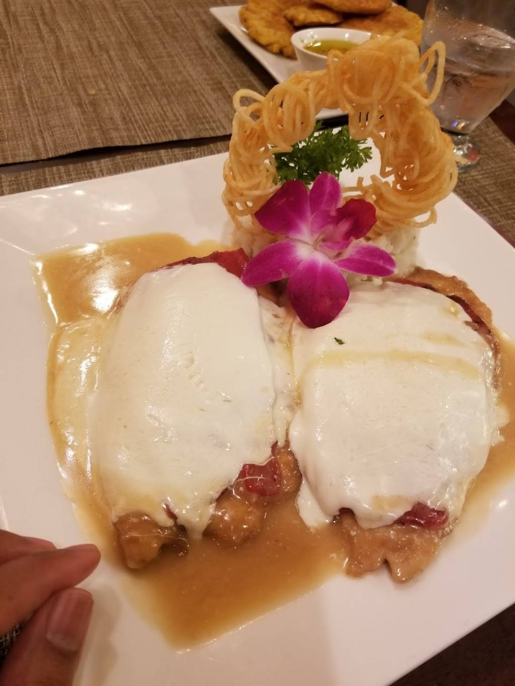 MAGNOS GRILL | restaurant | 108 Centre Ave, New Rochelle, NY 10801, USA | 9142350008 OR +1 914-235-0008