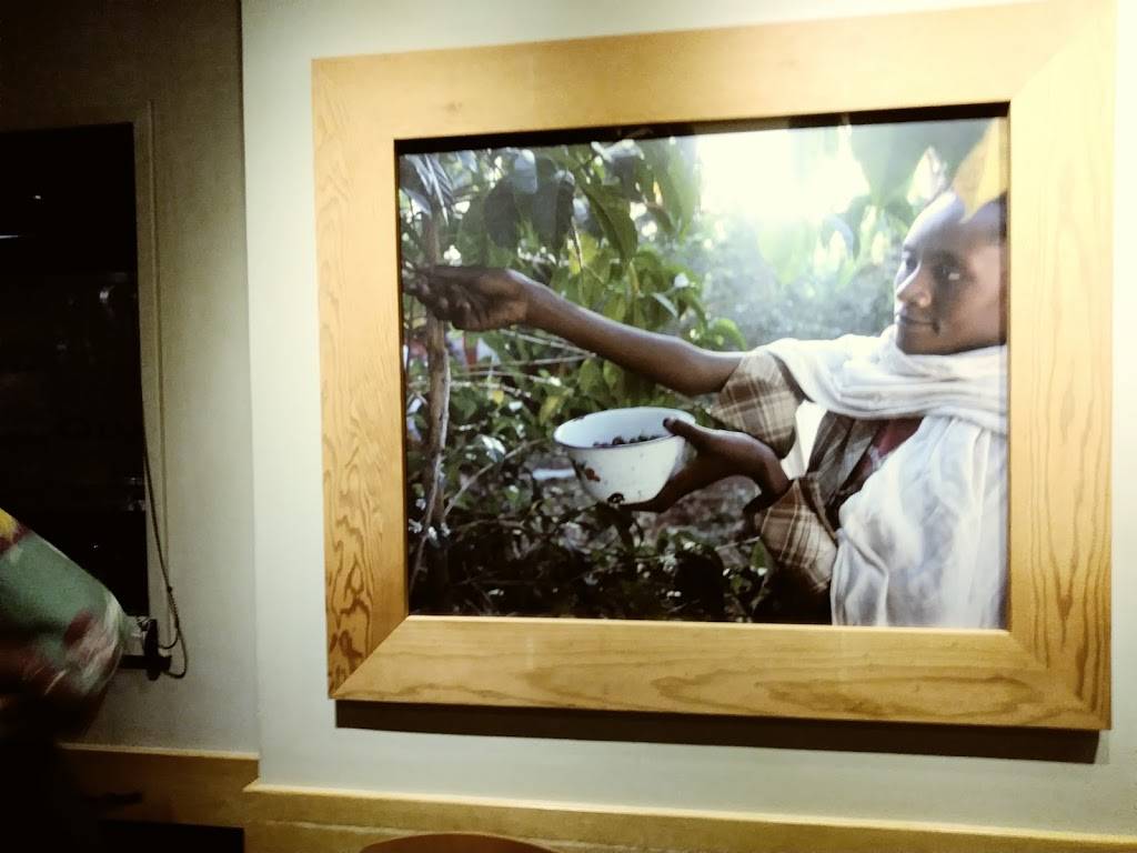 Starbucks | cafe | 15355 Sherman Way a, Van Nuys, CA 91406, USA | 8187870135 OR +1 818-787-0135