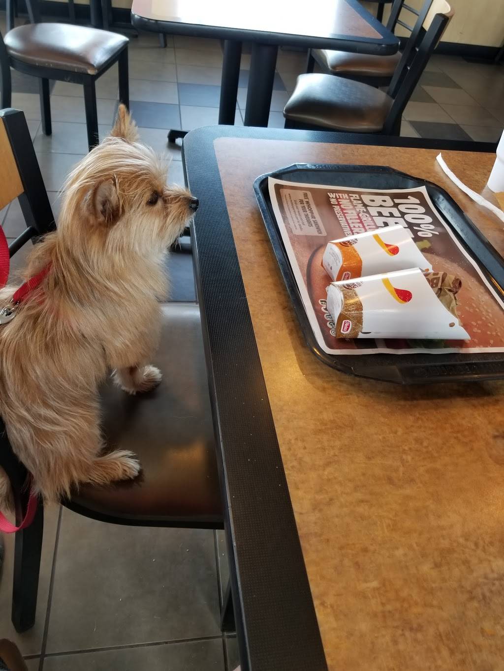 Burger King | restaurant | 3819 South St, Nacogdoches, TX 75964, USA | 9365643730 OR +1 936-564-3730