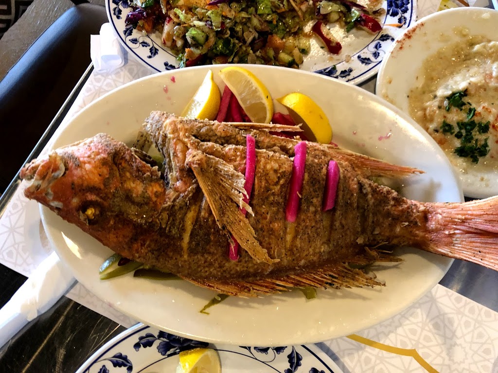 Al-Amir Cafe & Grill | restaurant | 8620 Fredericksburg Rd, San Antonio, TX 78240, USA | 2102818632 OR +1 210-281-8632